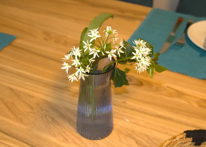 Eroeffnungsangebot Uebernachten In Einem Umgebauten Bunker Apartment *