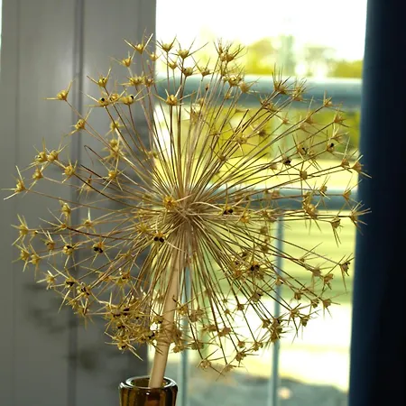 Eroeffnungsangebot Uebernachten In Einem Umgebauten Bunker شقة