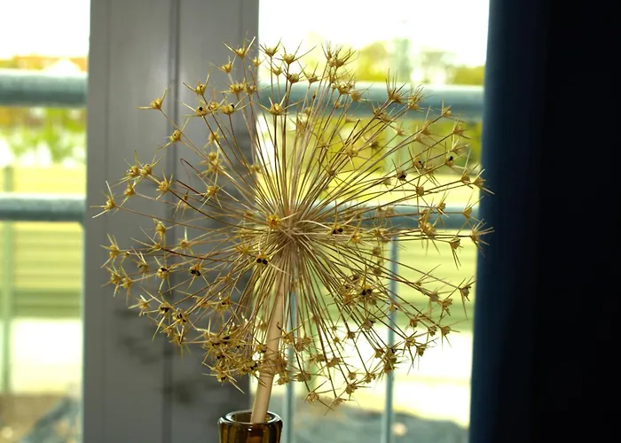 Eroeffnungsangebot Uebernachten In Einem Umgebauten Bunker Appartement